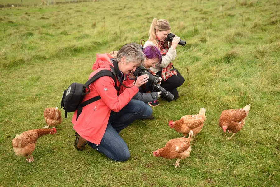 students on animal farm photography workshop run by devon photography training